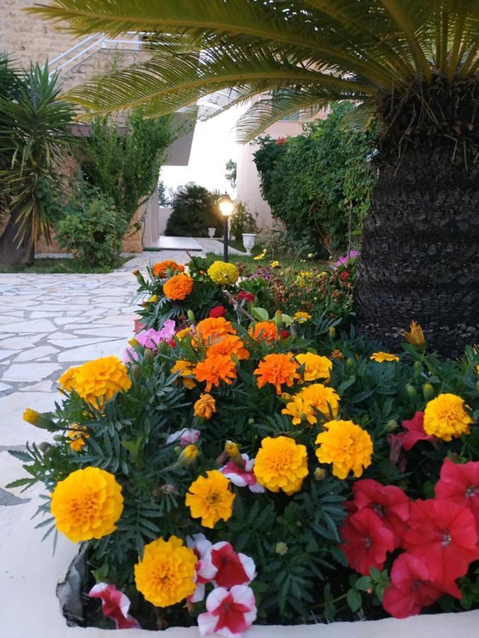 Lena Studios Sidari  Exterior photo